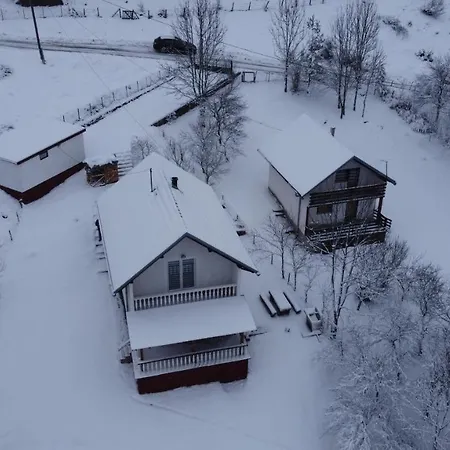 Vlasic Holiday Home