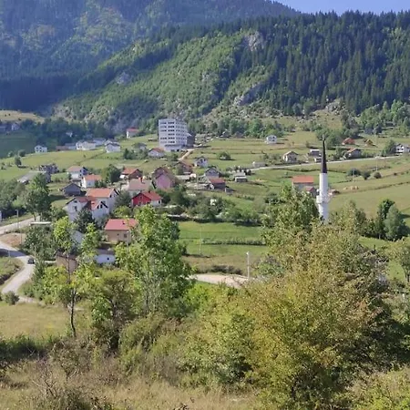 Vlasic Holiday Home * فلاسيتش