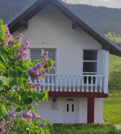 Vlasic Holiday Home