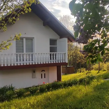 Vlasic Holiday Home